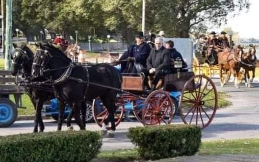 Este fin de semana llega el noveno Encuentro del Caballo y el Carruaje en Chascomús