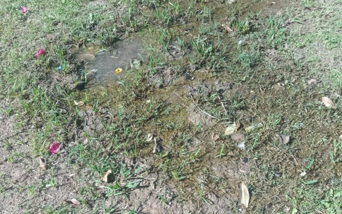 Renovado reclamo por una pérdida de agua en Gonnet y preocupación por el dengue