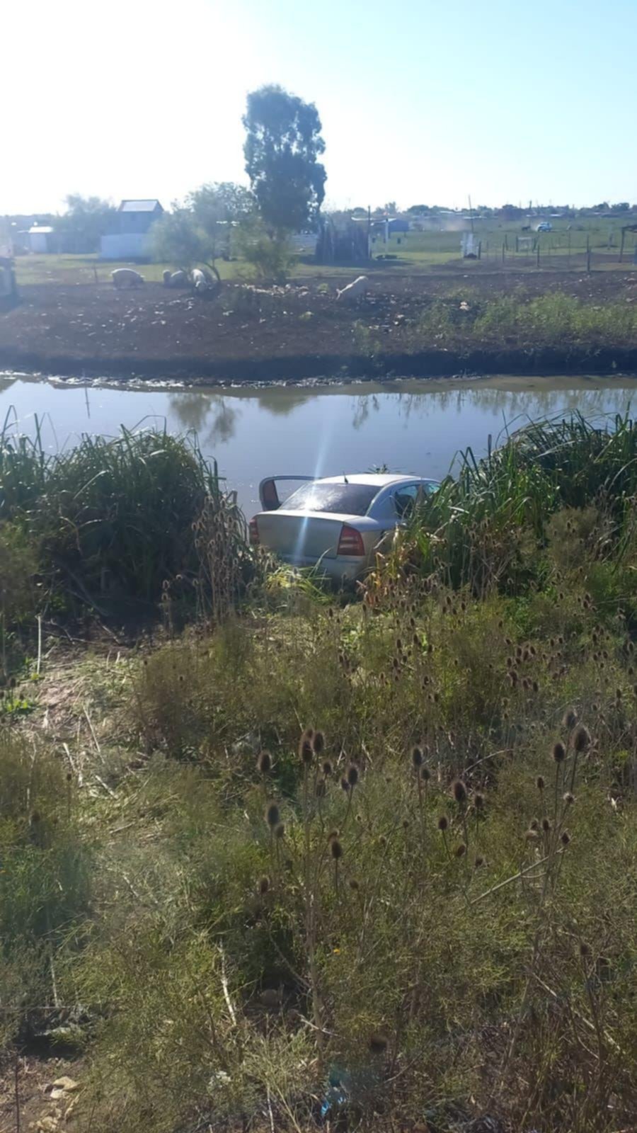 Cayó en una zanja y tuvo que ser rescatado