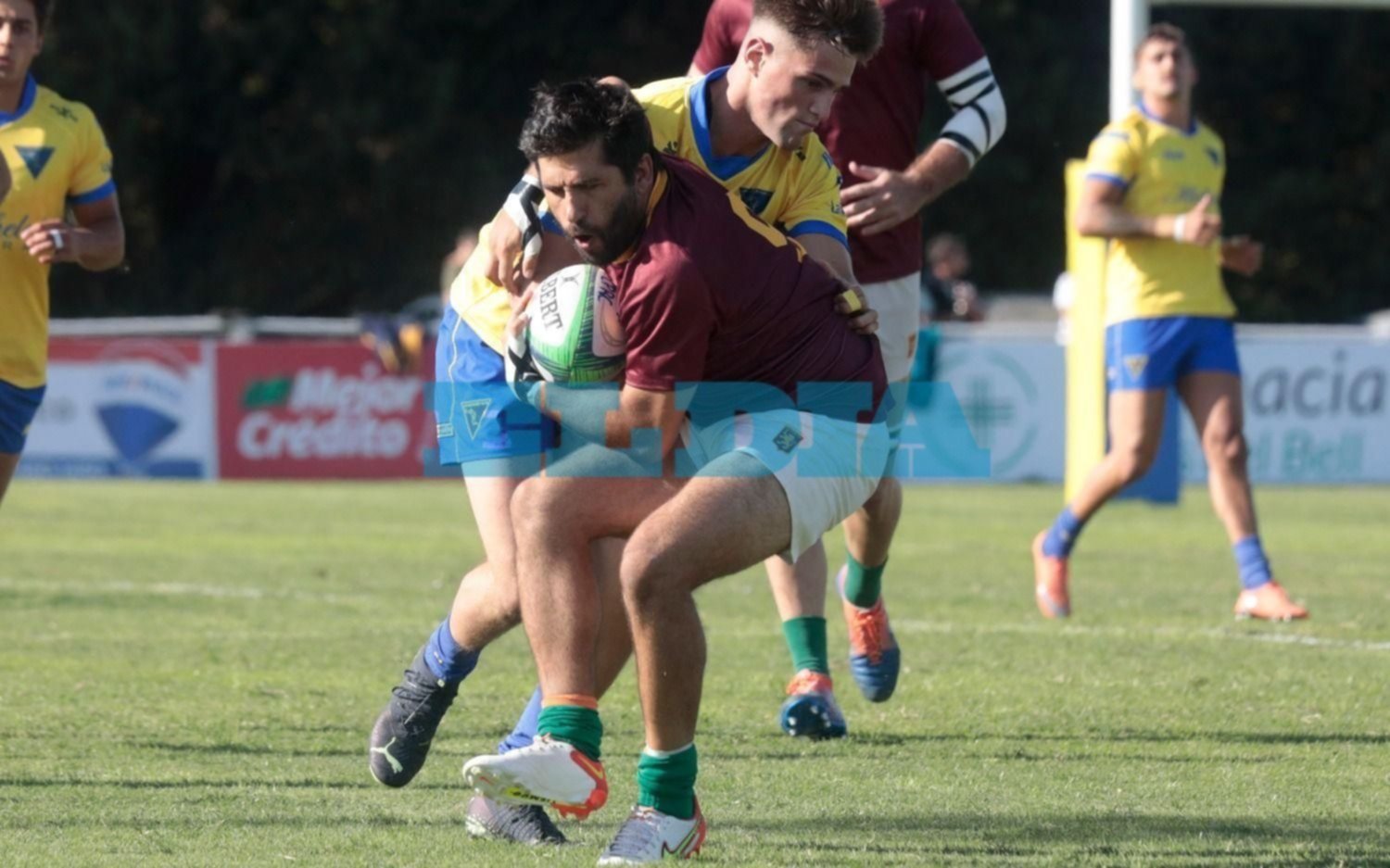 Rugby de la URBA: caídas de La Plata RC y San Luis, mientras que Universitario sumó otro triunfo