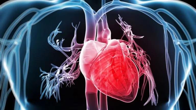 Salud: los gemelos digitales pueden ser el futuro de la medicina