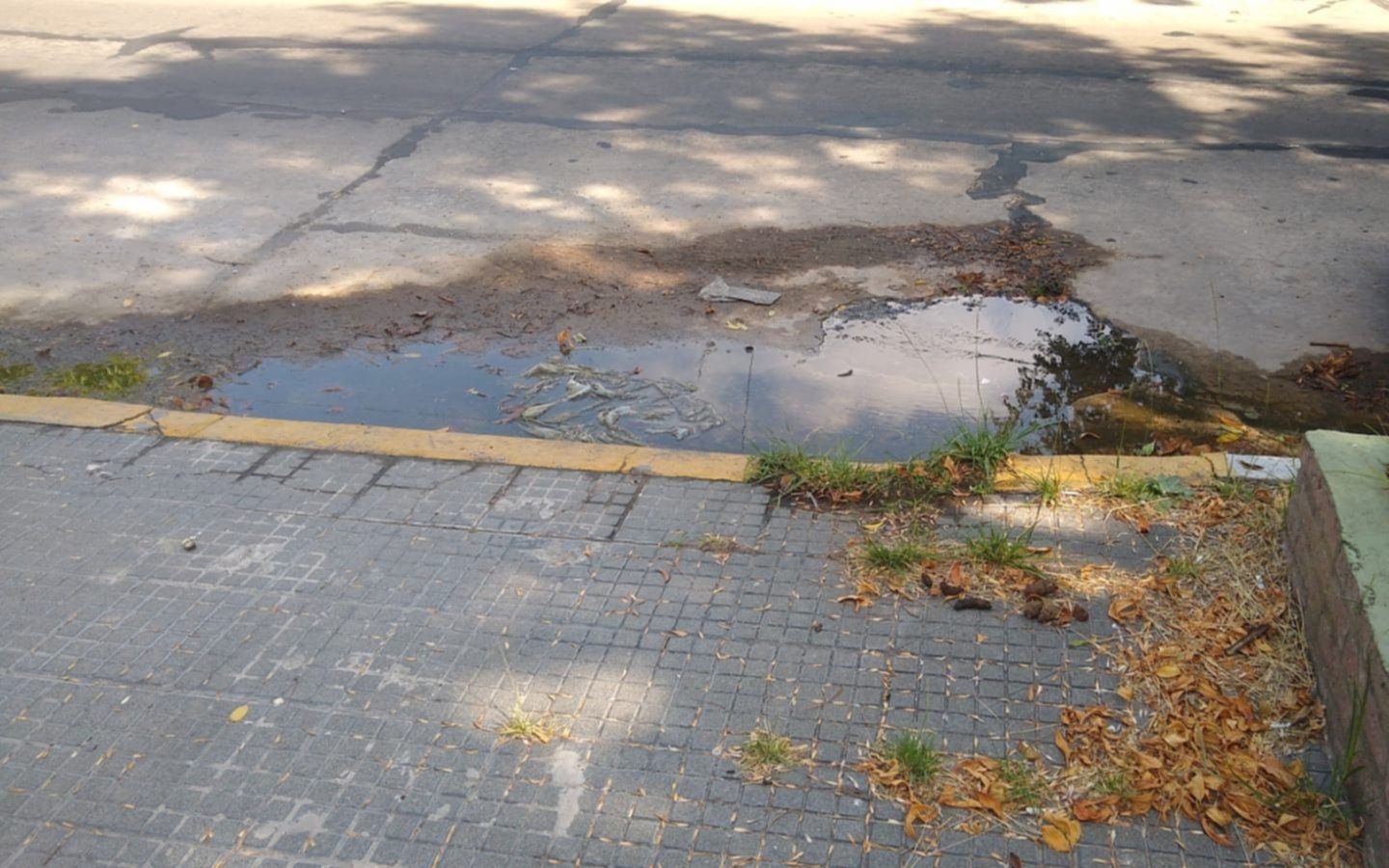 Una pérdida de agua lleva más de 3 meses en 37 y 14
