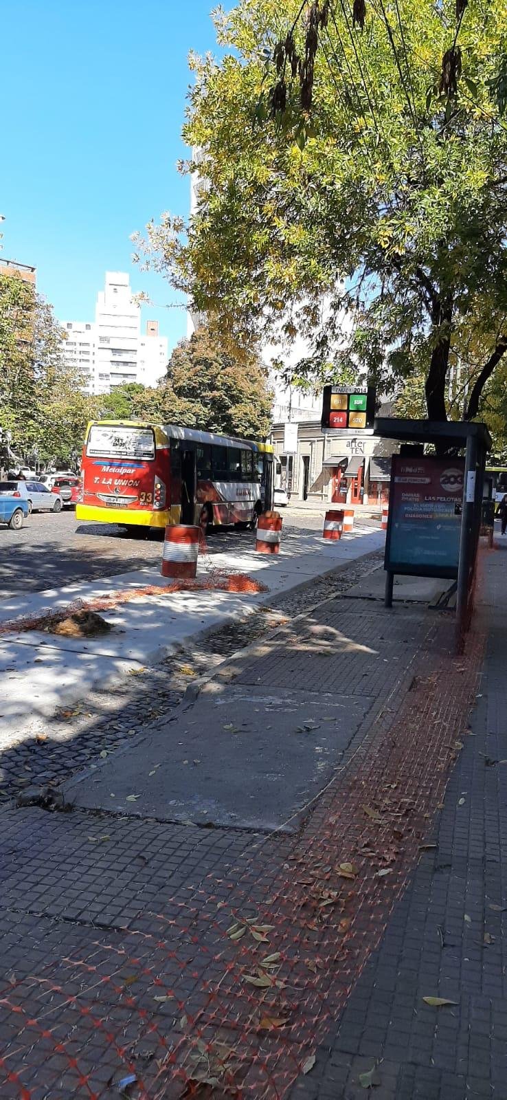 Quejas por el ordenamiento de las paradas en Plaza Rocha