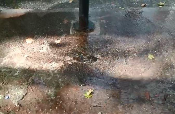 Piden por la reparación de un caño de agua en 51, 3 y 4