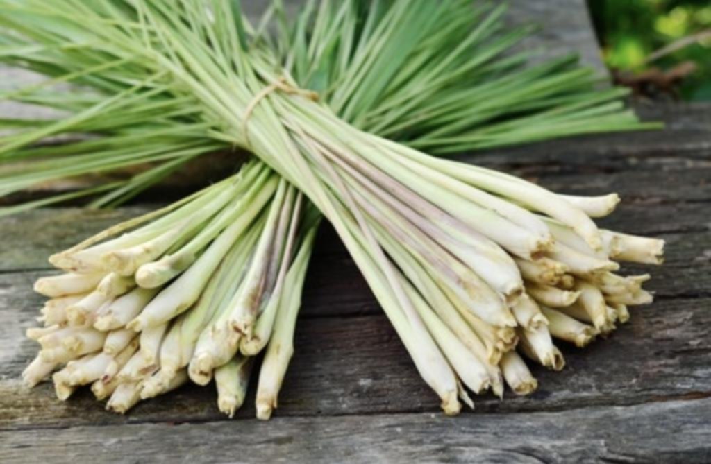 Lemongrass: de Asia a la cocina occidental