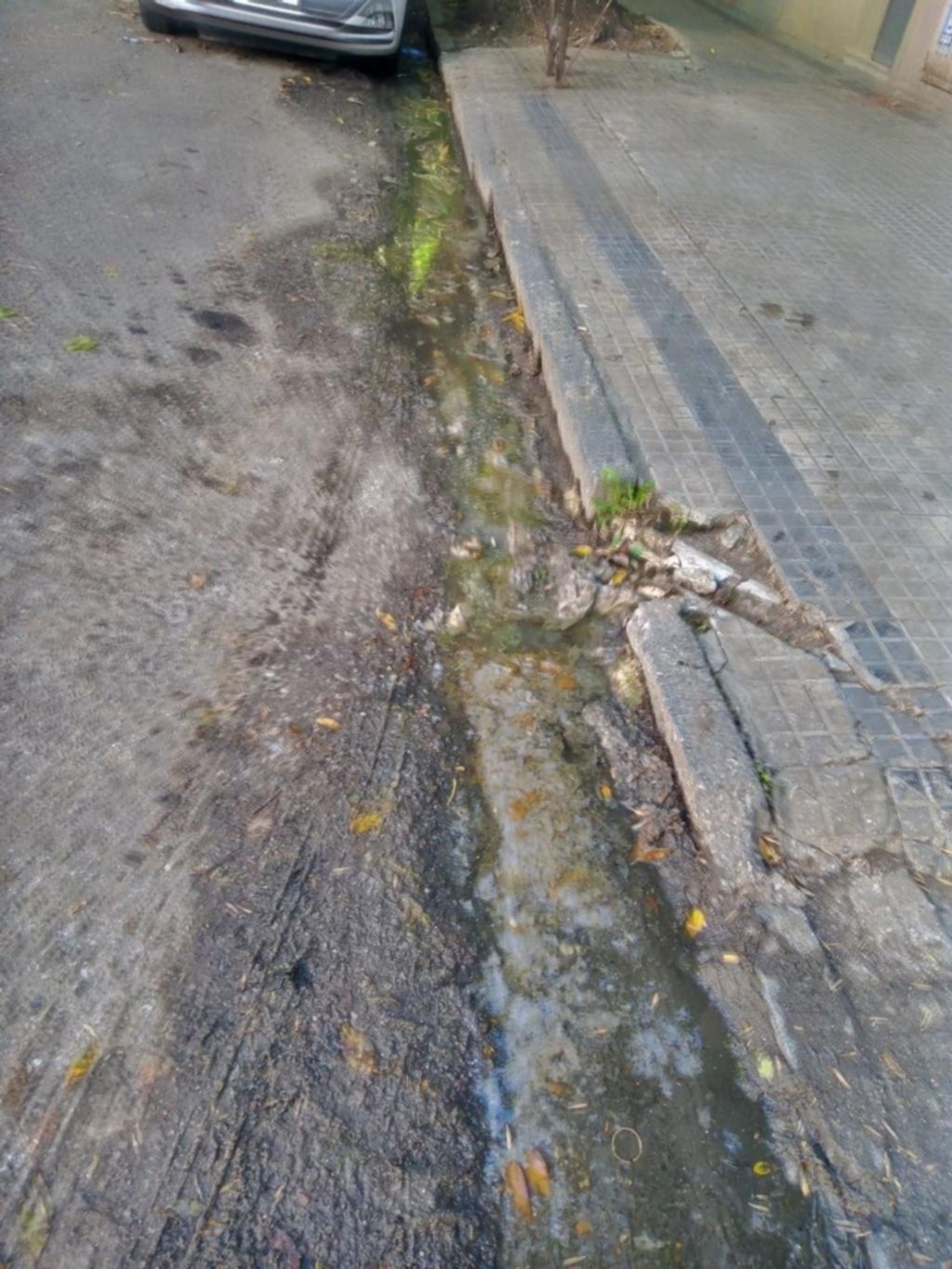 Una cloaca “a cielo abierto” en una cuadra céntrica
