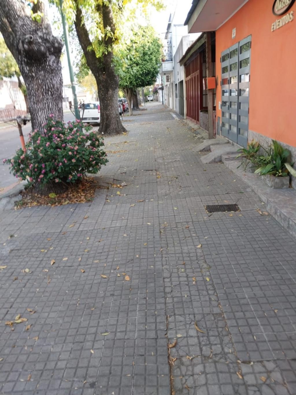 No tuvieron compasión: asalto y golpes a una jubilada en La Loma