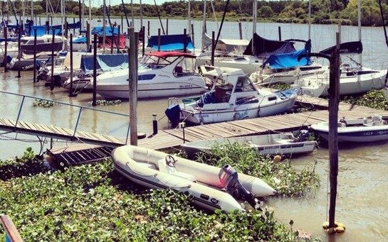 Encuentran el cuerpo de un hombre sin vida cerca de la entrada del club Regatas