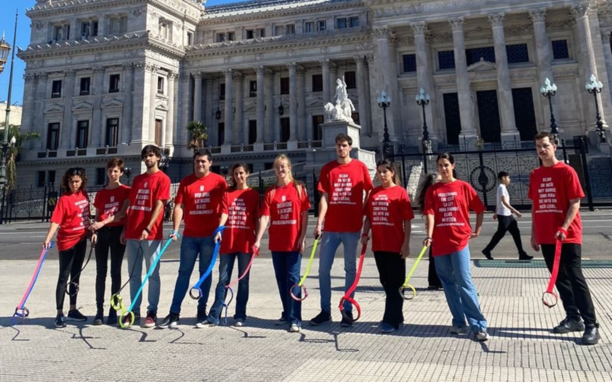 En el Congreso pidieron que traten la iniciativa para que las mascotas sean reconocidas como parte de la familia