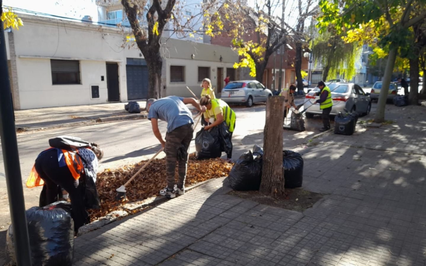 Ante la llegada de la tormenta, operativos para limpiar 