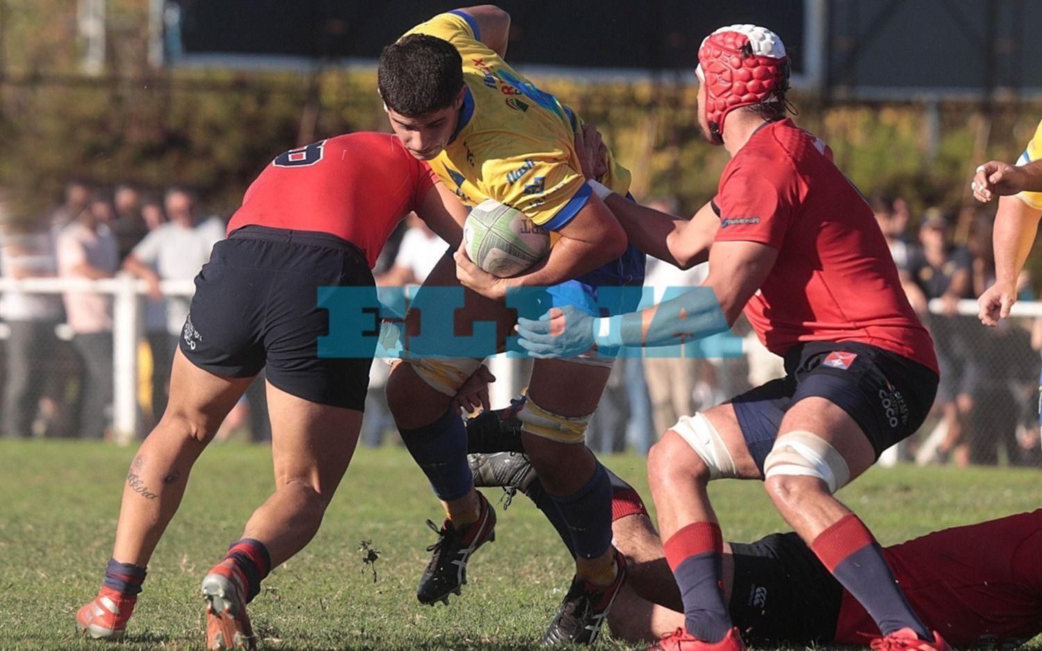 Rugby de la URBA: triunfos de La Plata y Los Tilos, y caída de San Luis