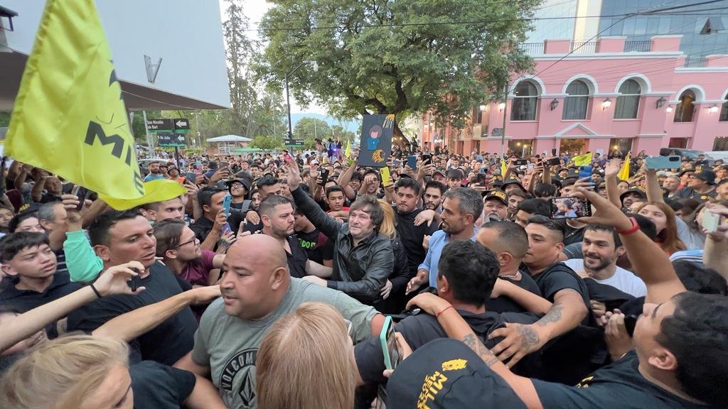 Estrategias anti-Milei: buscan frenar al líder libertario