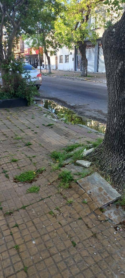 Pérdida de agua y mosquitos en la zona de 46 y 30