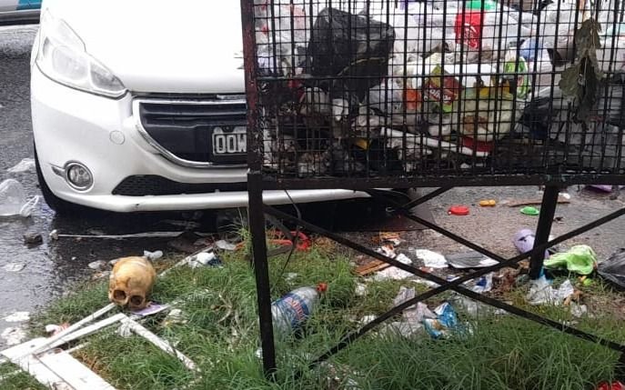 Un macabro hallazgo alteró a un barrio de La Plata
