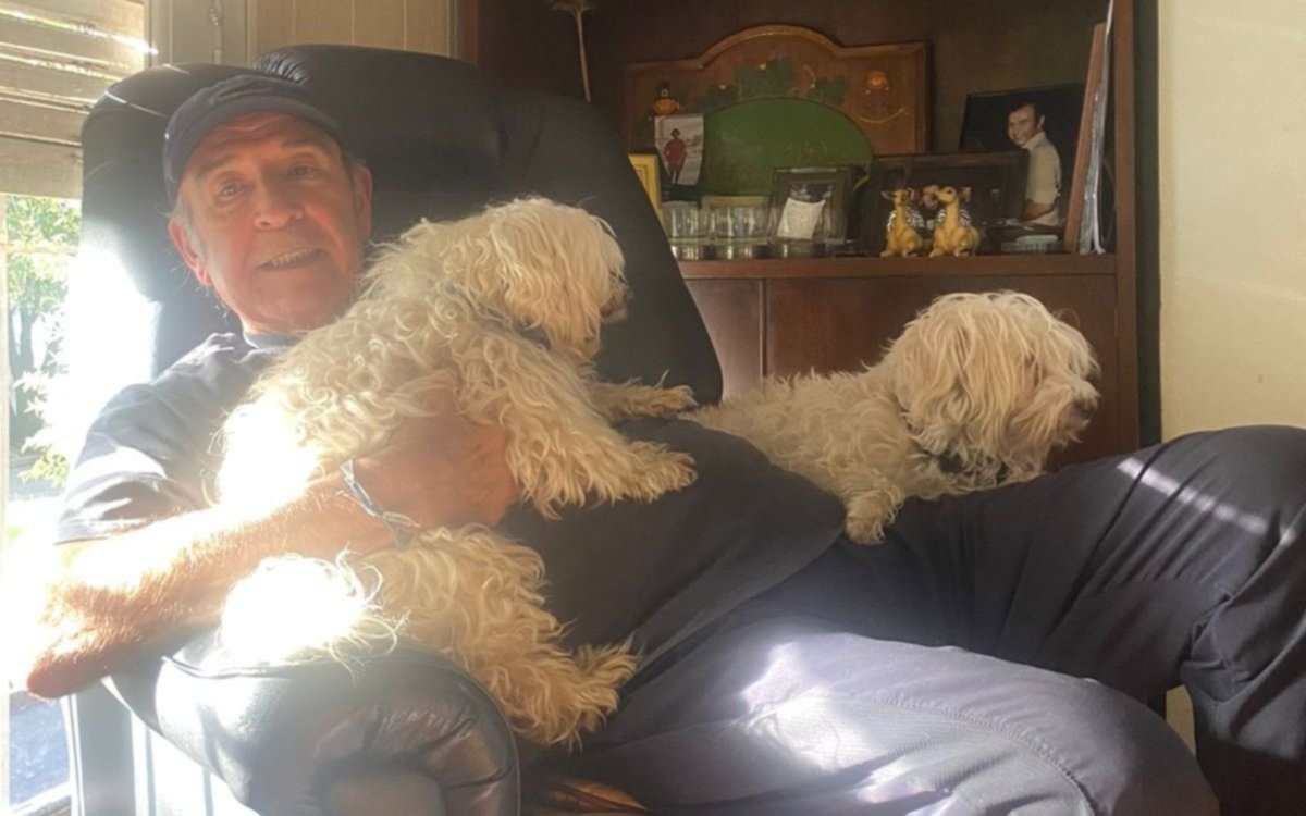 Revuelo por los perros de un exconcejal de La Plata