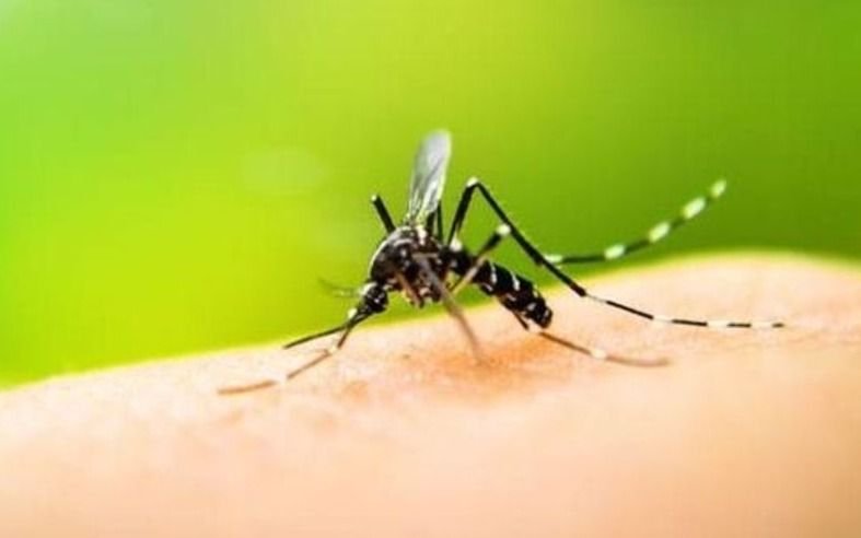 El dengue, otro foco de fuego cruzado entre Nación y Provincia: "No hubo ni hay plan"