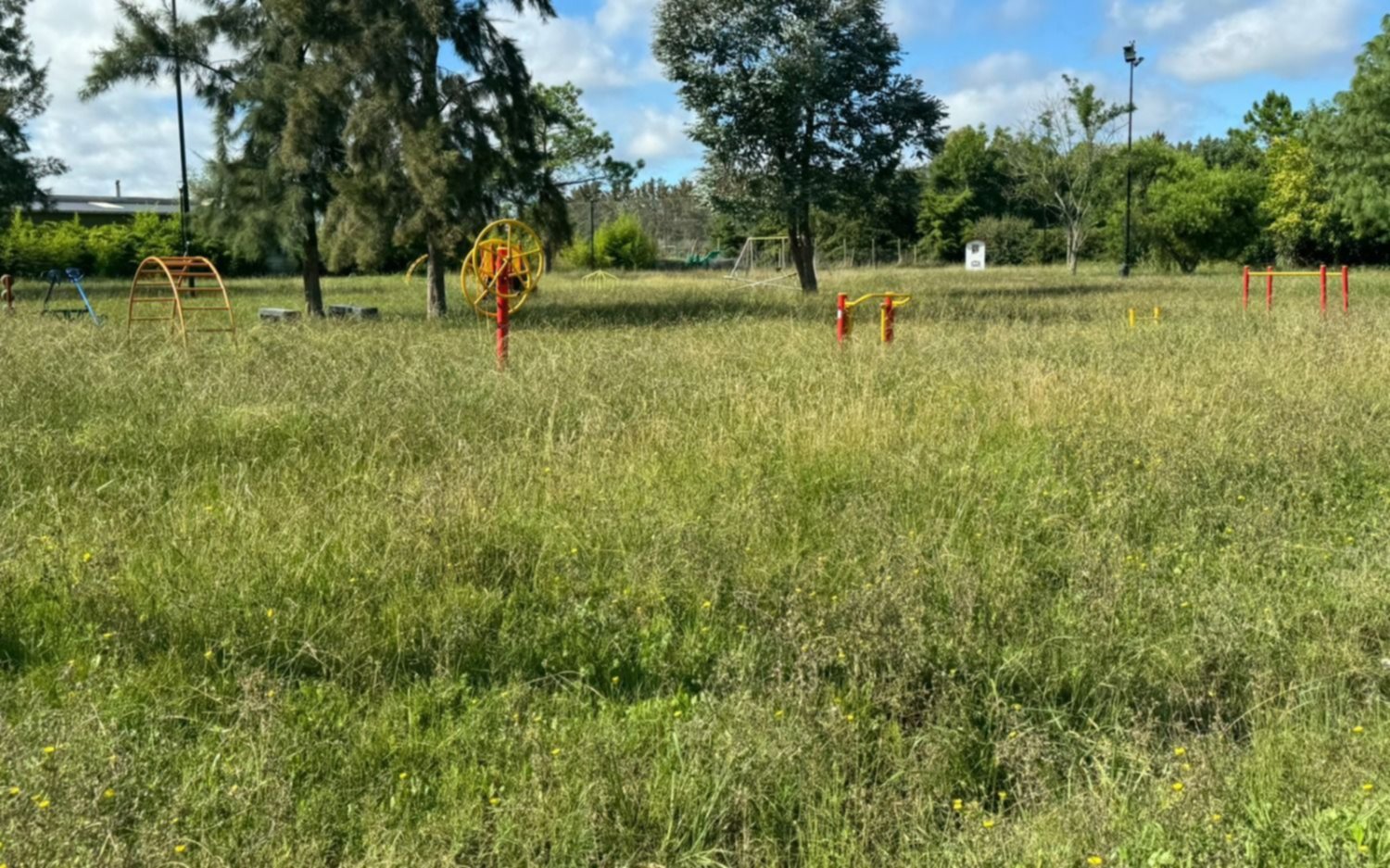 Vecinos piden cortar el pasto de una plaza de Villa Elisa: "Tienen casi 50 centímetros de alto"