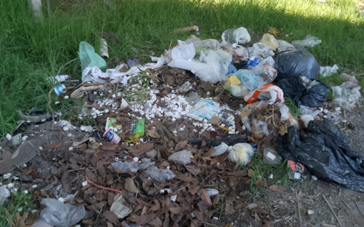 Basural y ramas caídas en un barrio de La Plata: los vecinos piden limpieza