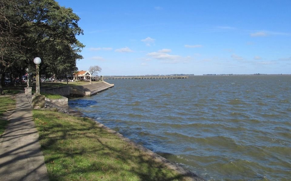 Cianobacterias: hay alerta en la laguna de Chascomús y en las encadenadas de Ruta 2