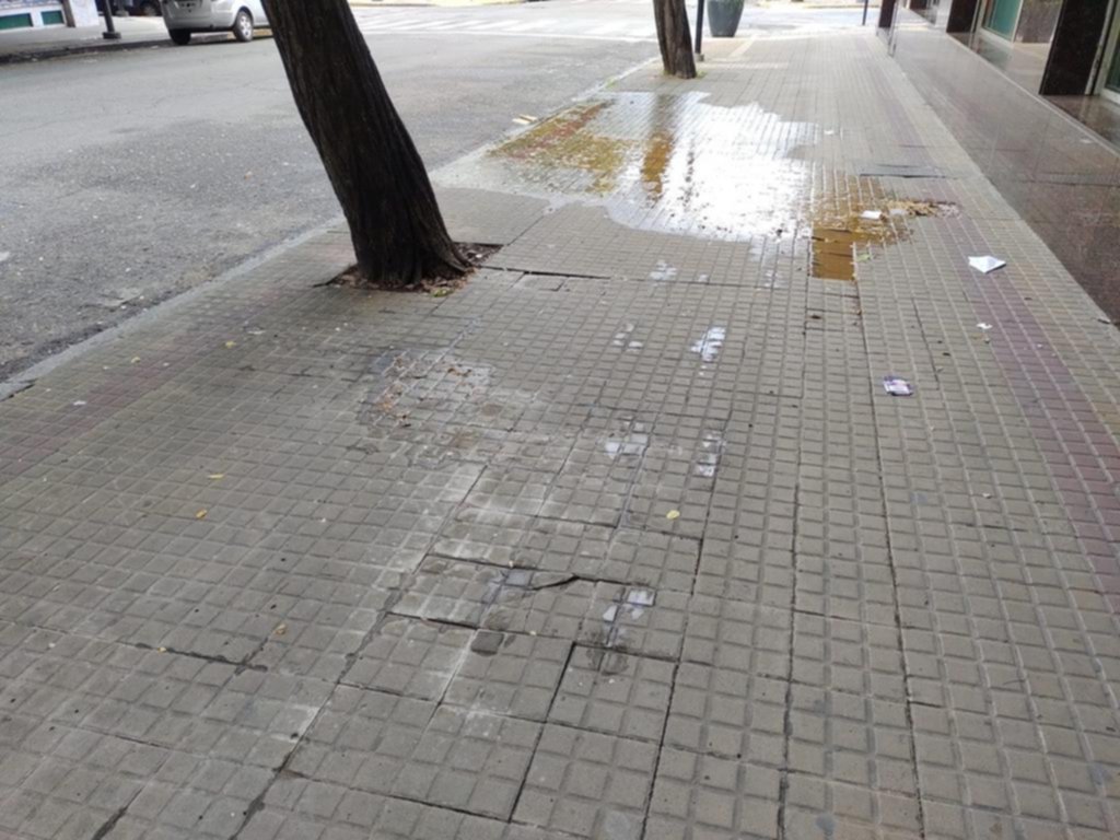 Un caño que reventó debajo de la vereda, en 48 entre 8 y 9