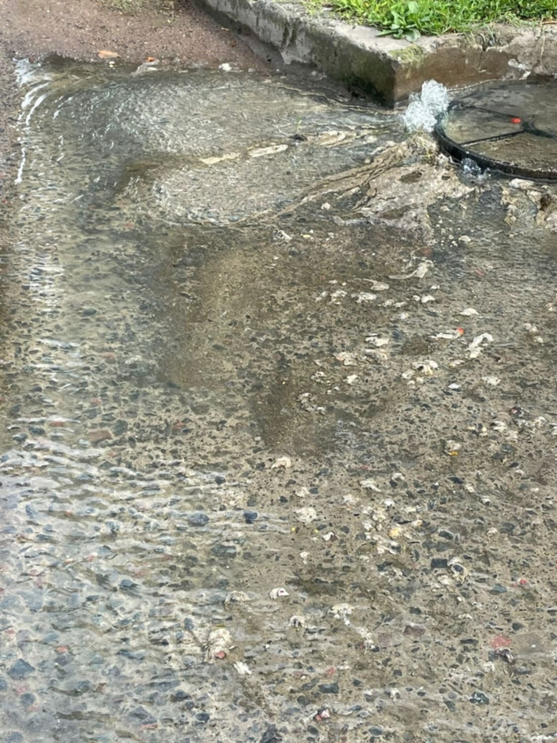 Vecinos aseguran que "rebalsan las cloacas" en un sector de Gonnet