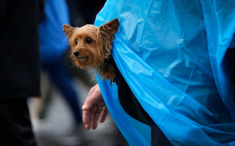 Temperatura agradable este martes en La Plata,  aunque ¿se adelanta la lluvia?