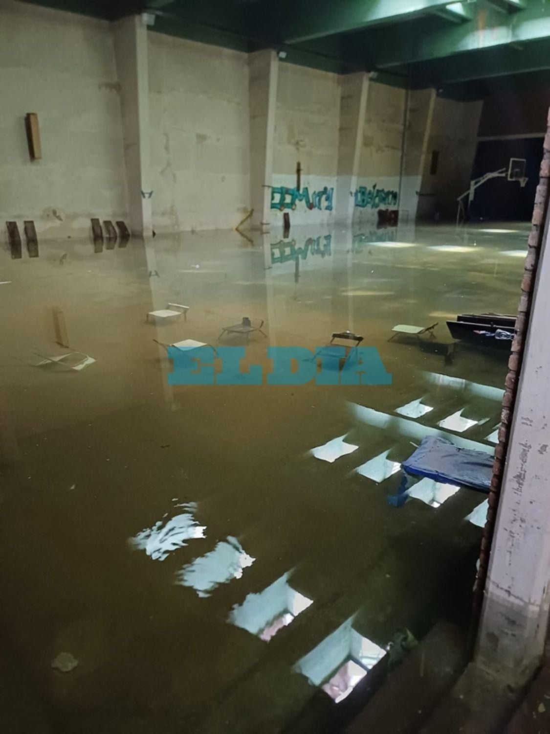 VIDEO.- En La Plata, una escuela "subacuática": se les inundó el gimnasio por fallas de la bomba y suspendieron las clases