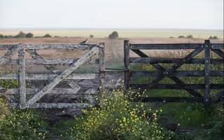 El campo, en pie de guerra por los aumentos en el Impuesto Inmobiliario Rural: "Iremos a La Plata con un petitorio para Kicillof"