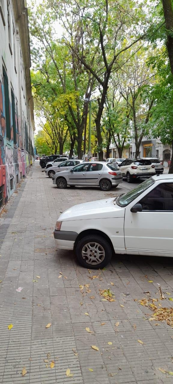 La vereda de la Facultad de Artes, un estacionamiento