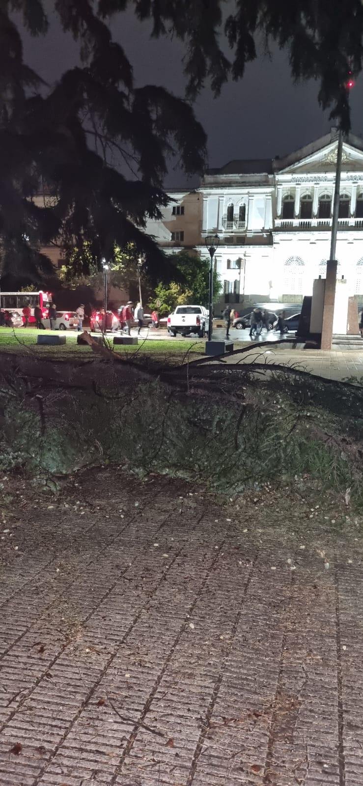 En Plaza Rivadavia, poca luz y ramas desde hace semanas