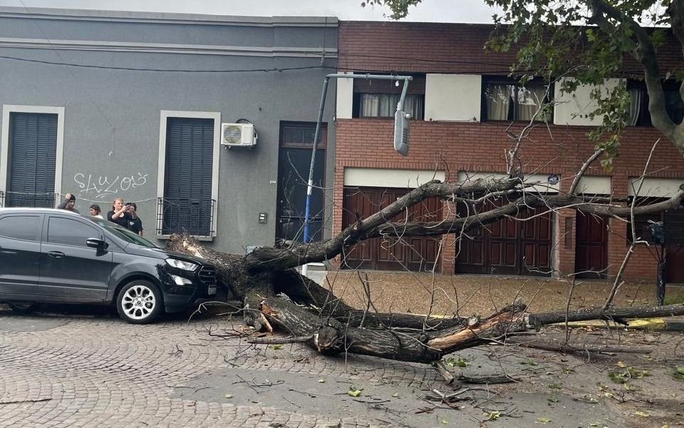 La lluvia cedió pero las secuelas del temporal siguen castigando a La Plata