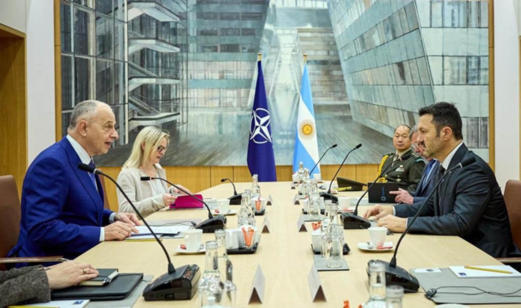 Argentina y la OTAN: el pedido para ser socio global