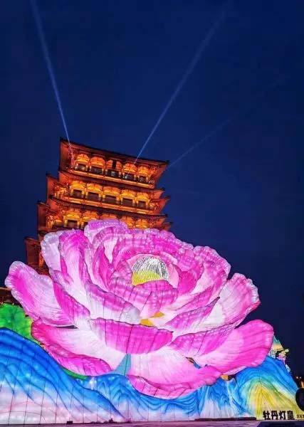 “Flor de linterna”: tan alta como un edificio de ocho pisos, bate récord en China