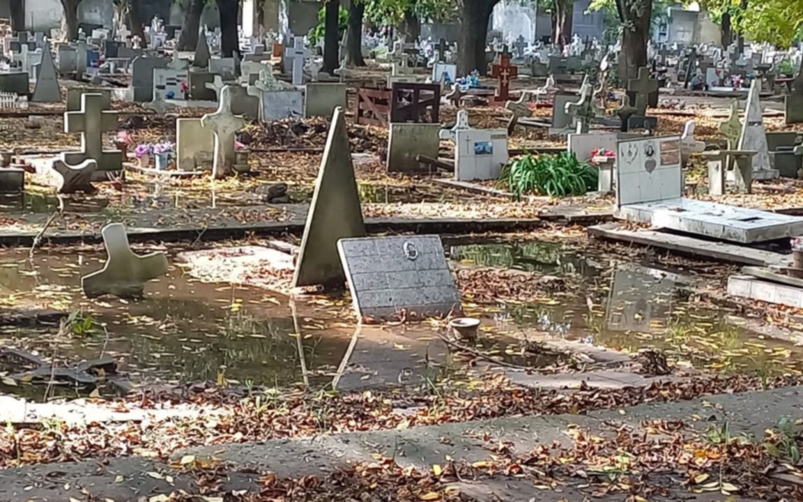 Denuncian "falta de mantenimiento" en el Cementerio de La Plata: "Todo sin cuidado"