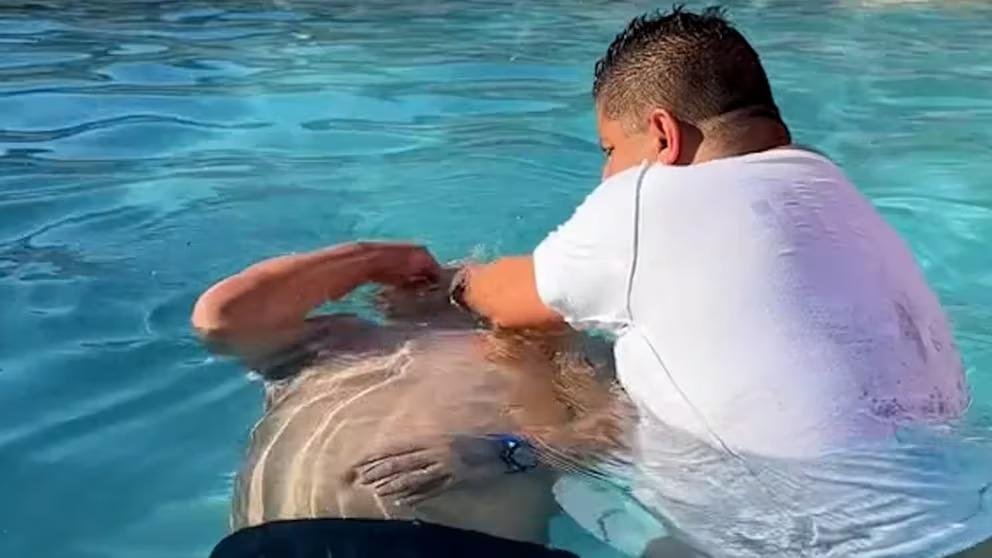 El bautismo cristiano del Turco García en una piscina en Miami