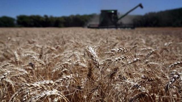 No cierran los números en el sudoeste bonaerense