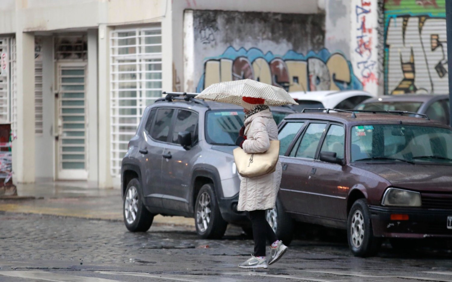 Se acerca la lluvia: cómo seguirá el clima en La Plata en las próximas horas