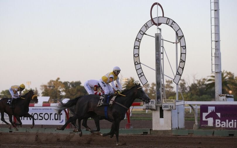 Vuelven las carreras al Hipódromo de La Plata: se levantó el paro de jockeys