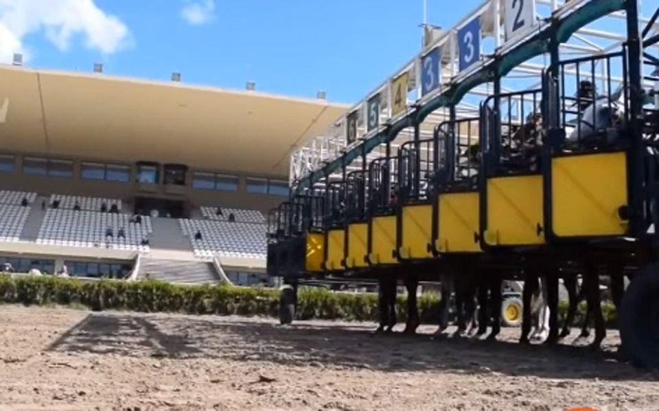 Hoy vuelven las carreras al Hipódromo de La Plata: cuántos millones se perdieron durante el parate