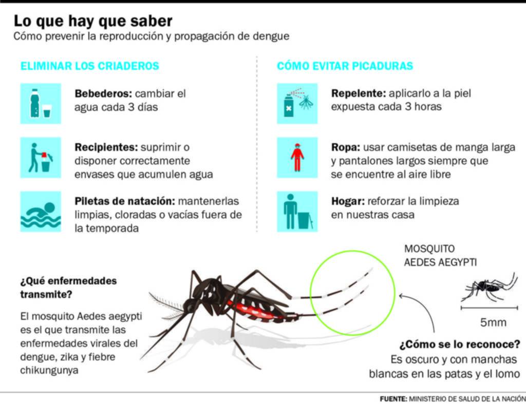 Mosquitos resistentes: los huevos le hacen frente al frío