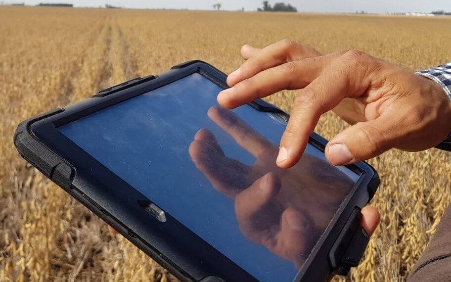 Inteligencia artificial para afinar las proyecciones agrícolas
