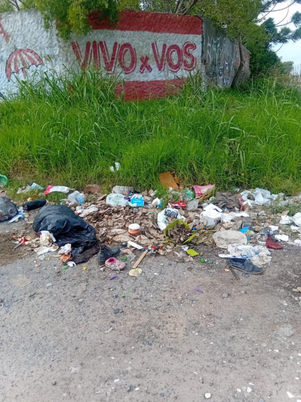 Reclamos por los basurales y falta de alumbrado público