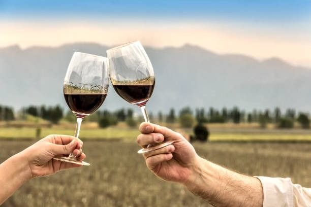 Día Mundial del Malbec