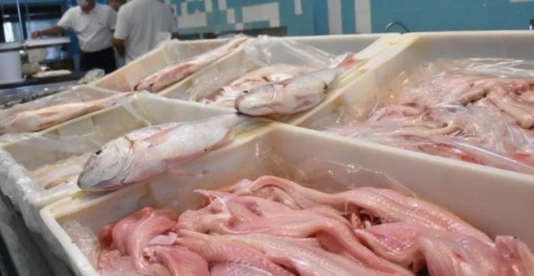 La tradición del ajuste: la merluza se consigue hasta 35% más cara en La Plata
