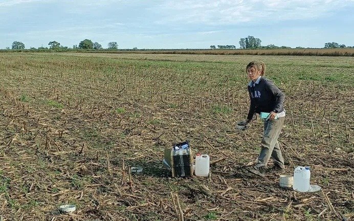  Rotación e intensificación: cómo mejorar la salud del suelo, según la FAUBA