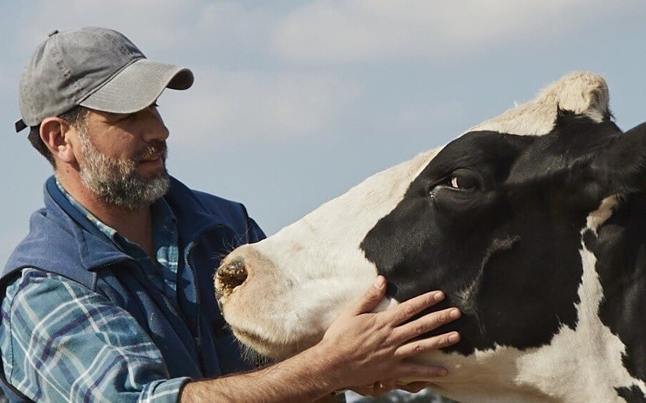 La producción lechera crece en Argentina y proyectan un primer semestre con fuerte expansión