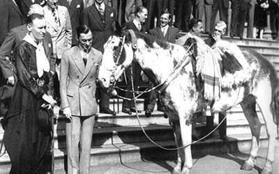 Homenaje a los 100 años de la epopeya de Gato y Mancha, los caballos criollos que unieron Buenos Aires con Nueva York