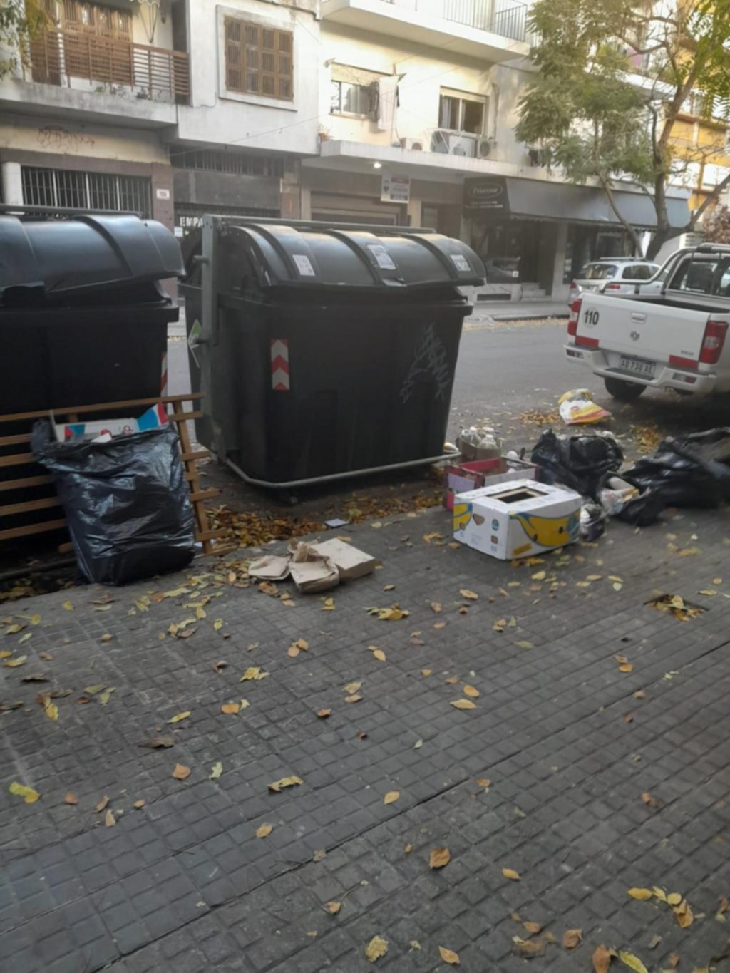 Los contenedores de 55 entre 7 y 8 atraen cajas y bolsas, pero no entran
