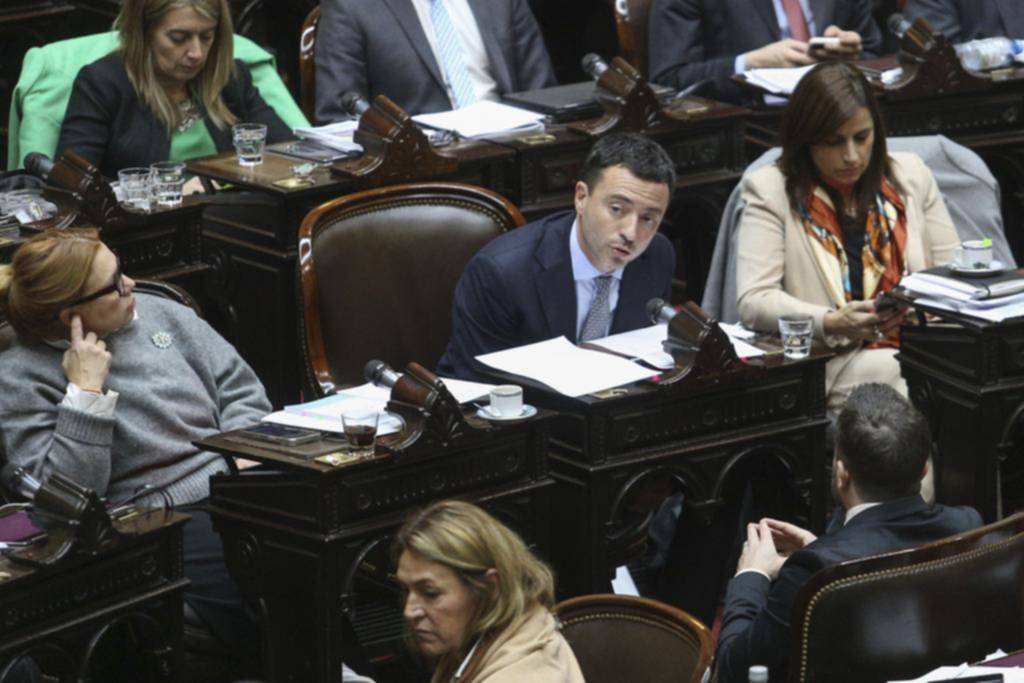 Diputados: crisis entre los radicales por los “pelucas”