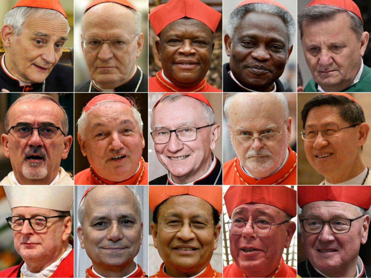 Quiénes son los posibles candidatos para suceder al papa Francisco en el Vaticano  